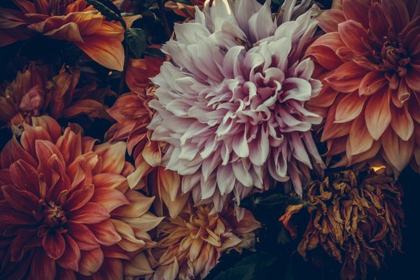 Les portes de garage motorisées : allier confort et sécurité