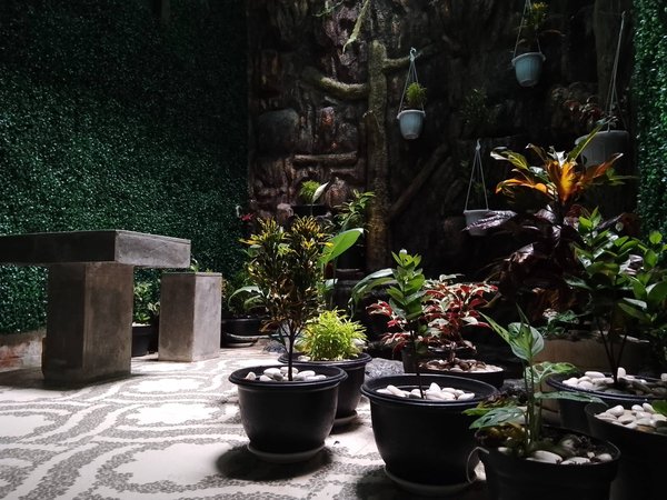 Les astuces pour aménager un coin lecture dans son jardin